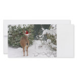 Rudolph the Red Nosed Reindeer photo cards