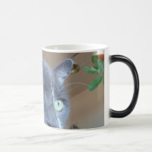 Rudy Coffee Mug