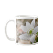 Rue Anemone - Thalictrum thalictroides Mugs