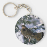Ruffed grouse perched in a snowy tree keychain