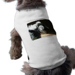 ruffed tail lemur pet clothing