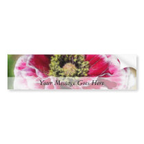 Ruffled Poppy - Rich Rose
