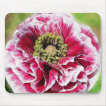 Ruffled Poppy - Rich Rose Mousepad