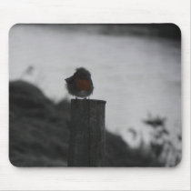 Ruffled robin mousepads