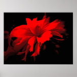 ruffles 2 posters