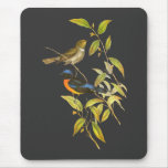 Rufous-bellied Niltava mousepads
