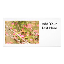 Rufous Hummingbird and Flowers Photo Card Template