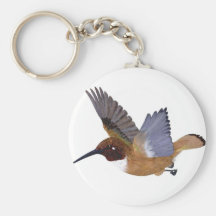 Rufous Hummingbird Male Key Chains