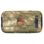 Rufous Hummingbird Sitting Galaxy SIII Cover