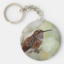 Rufous Hummingbird Tounge Key Chains