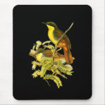 Rufous-vented Laughingthrush Mousepads