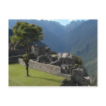 Ruinous Heights