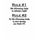Rule Cleaning Lady t-shirts