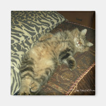 Rum Tum tummy Fridge Magnet
