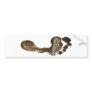 Run Barefoot Bumper Sticker
