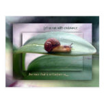 Run with Endurance Postcard