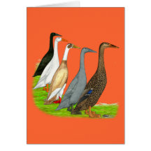Runner Duck Assortment Card
