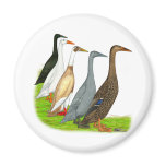 Runner Duck Assortment magnets