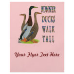 Runner Ducks Walk Tall flyers