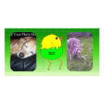 Running chicken photo cards