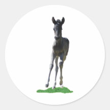 Running Colt Round Stickers