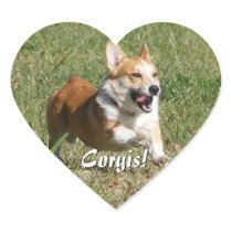 Running Corgi Stickers