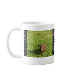Running Doxie Pup mugs