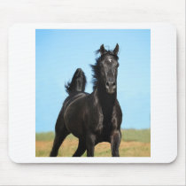 Running Free Mousepads