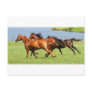 Running free post card