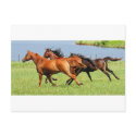 Running free postcards