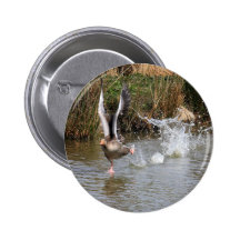 Running Greylag Goose Buttons
