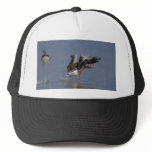Running Greylag Goose Hats