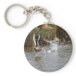 Running Greylag Goose Key Chain