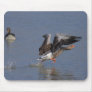 Running Greylag Goose Mouse Pad
