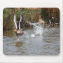 Running Greylag Goose Mousepads