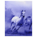 Running Horse flyers