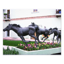 Running of the Horses Photographic Print