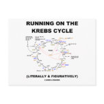 Running On The Krebs Cycle (Science Humour) postcards