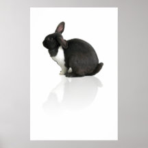 RupertPoster