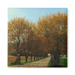 Rural Country Driveway magnets