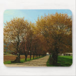 Rural Country Driveway mousepads