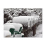 Rural Mail Post Card