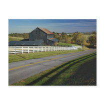 Rural road through Bluegrass region of 2 Postcard