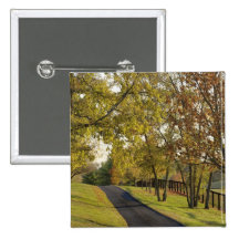 Rural road through Bluegrass region of Kentucky 2 Button