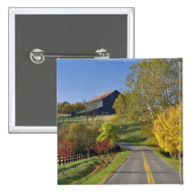 Rural road through Bluegrass region of Kentucky Buttons