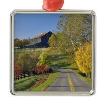 Rural road through Bluegrass region of Kentucky Ornament