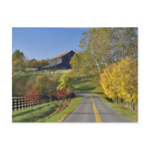 Rural road through Bluegrass region of Kentucky Post Cards