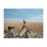 Rural scene postcards