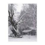 Rural Snow Scene postcards