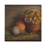 Rural Still Life magnets